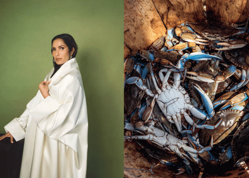 Padma Lakshmi, la présentatrice star des US