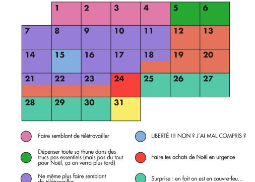 Infographie de Décembre 2020