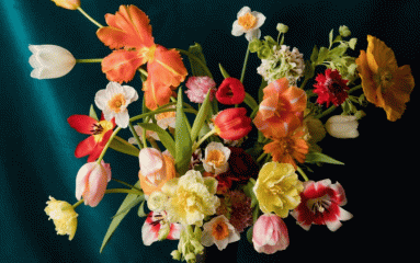 6 fleuristes pour s’offrir un bout de Printemps