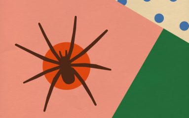 L’application pour soigner la phobie des araignées